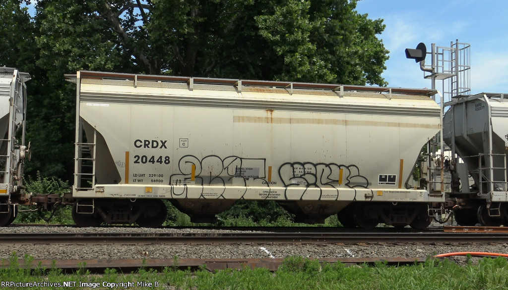 CRDX 20448